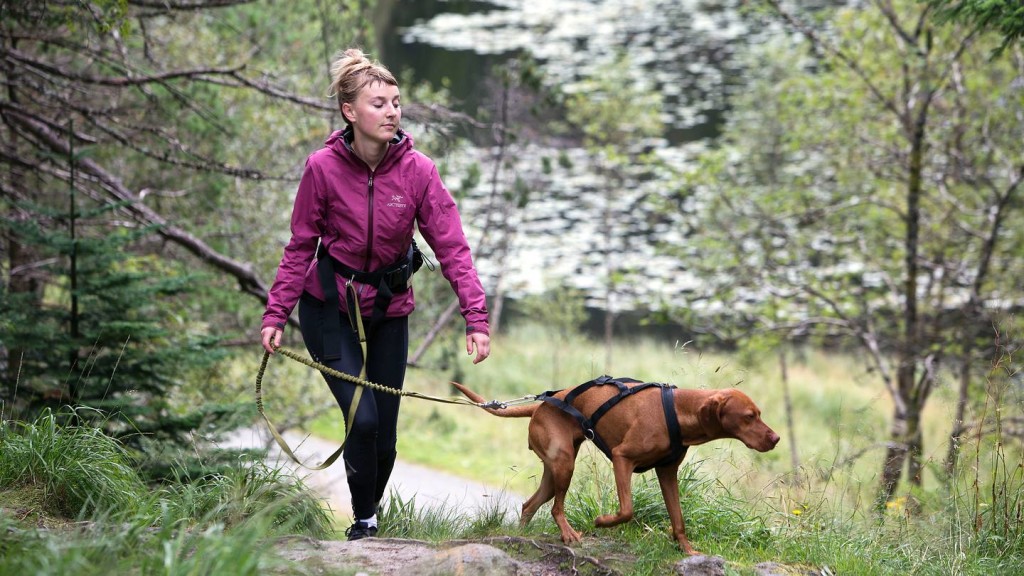Thea Austgulen elsker å gå tur med hunden Abba. Foto Tor Høvig, Bergens Tidende